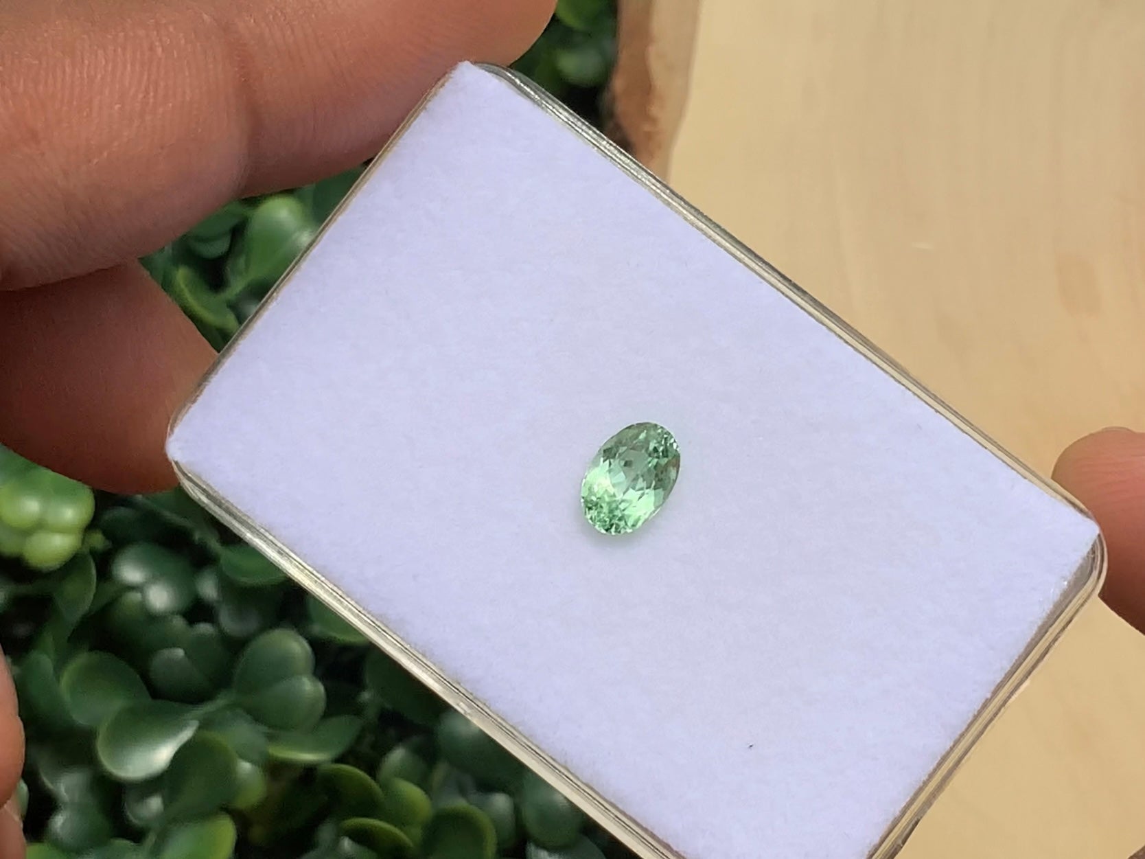 1.53 ct. Mint Garnet