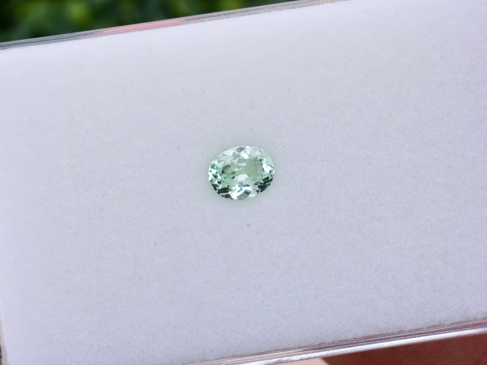 0.94 ct. Mint Garnet