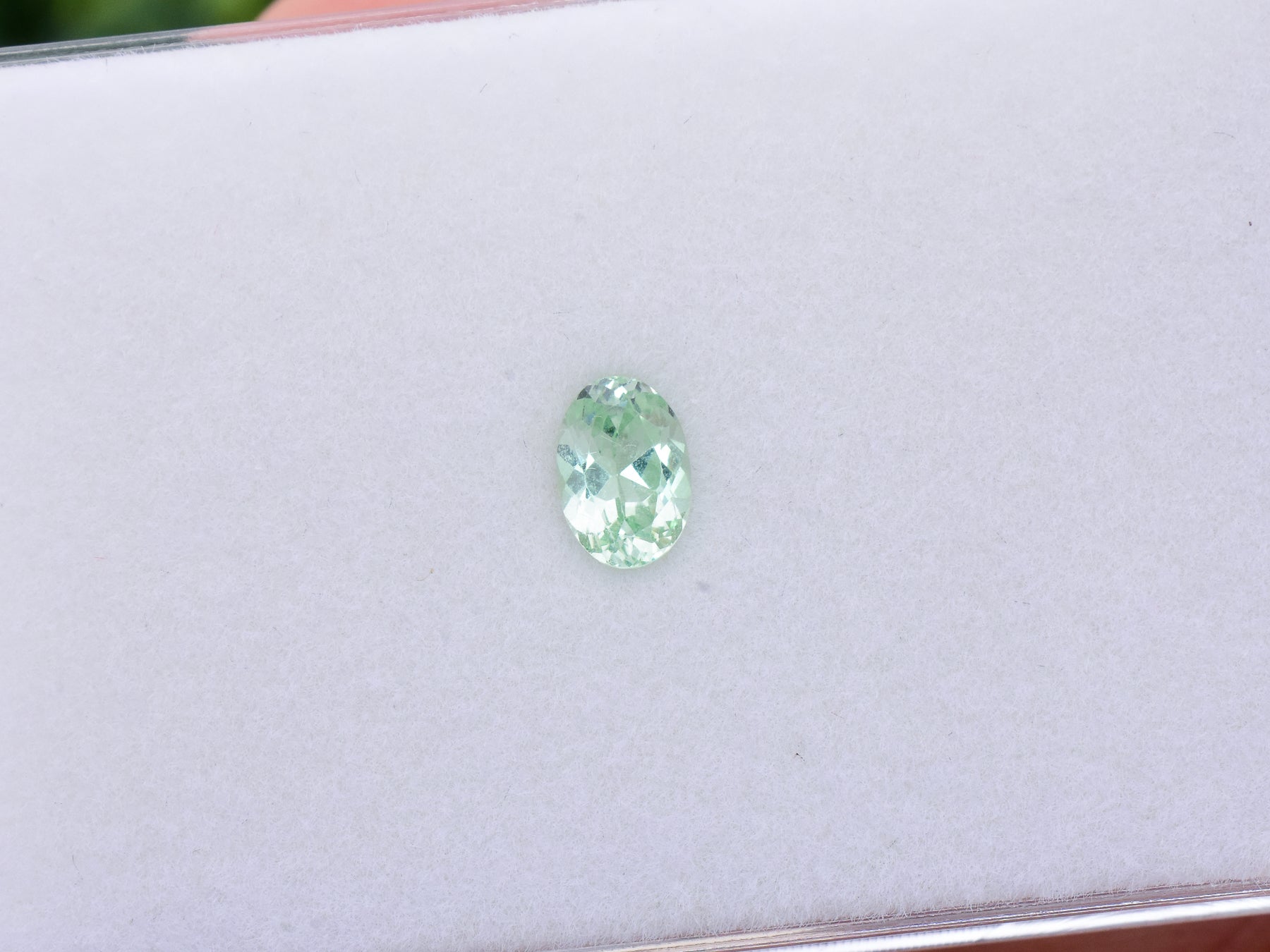 0.85 ct. Mint Garnet