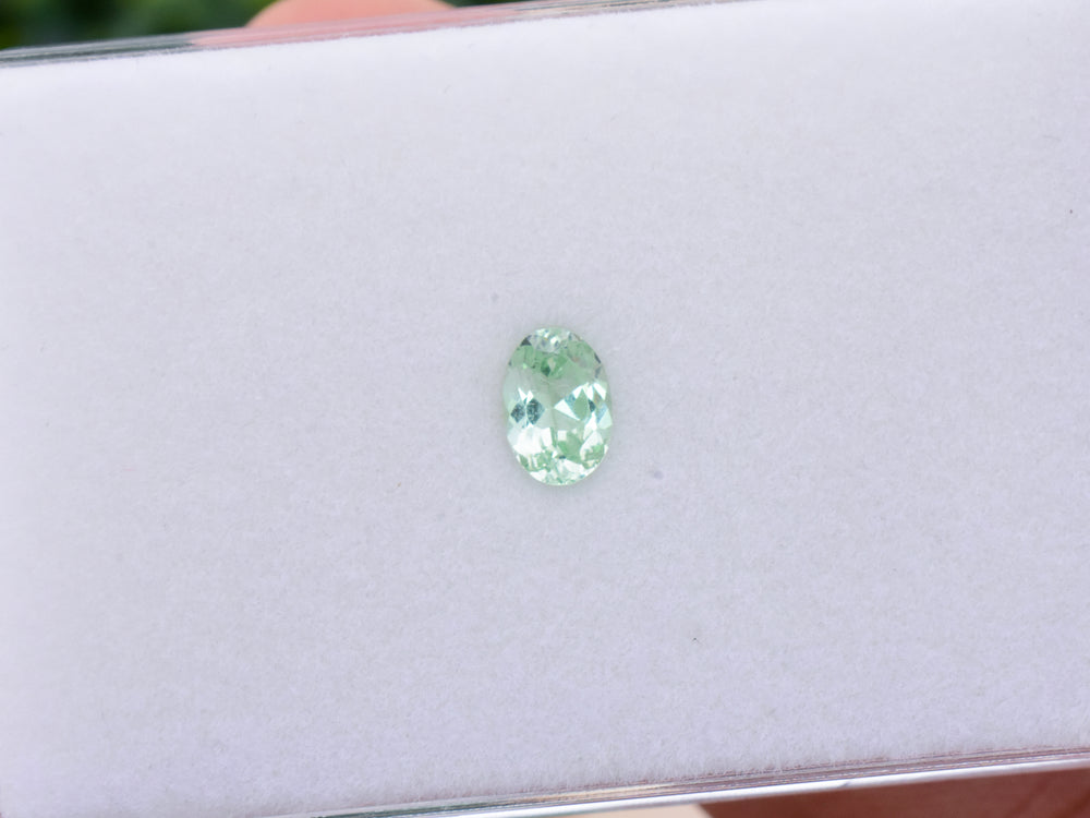 0.85 ct. Mint Garnet