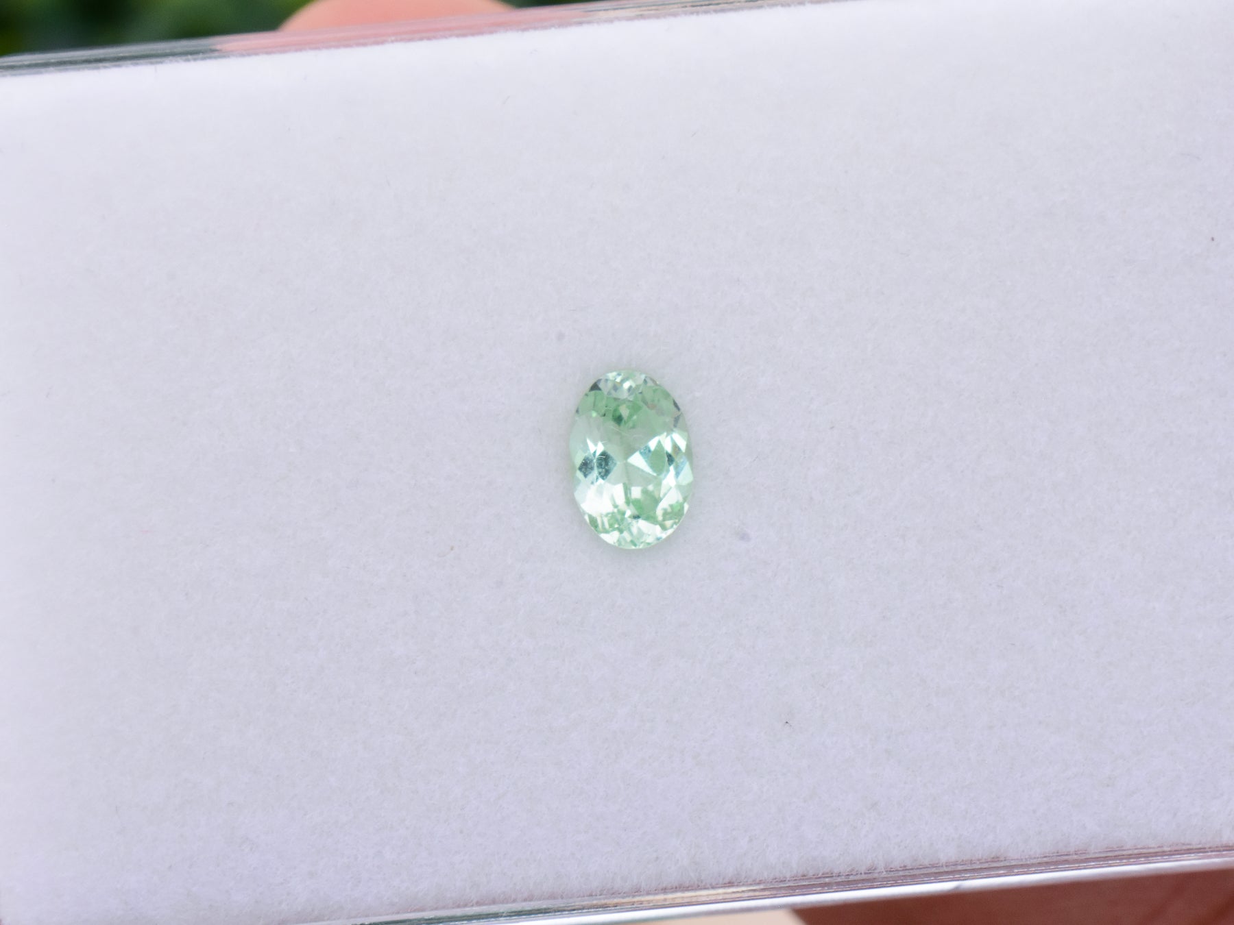 0.85 ct. Mint Garnet