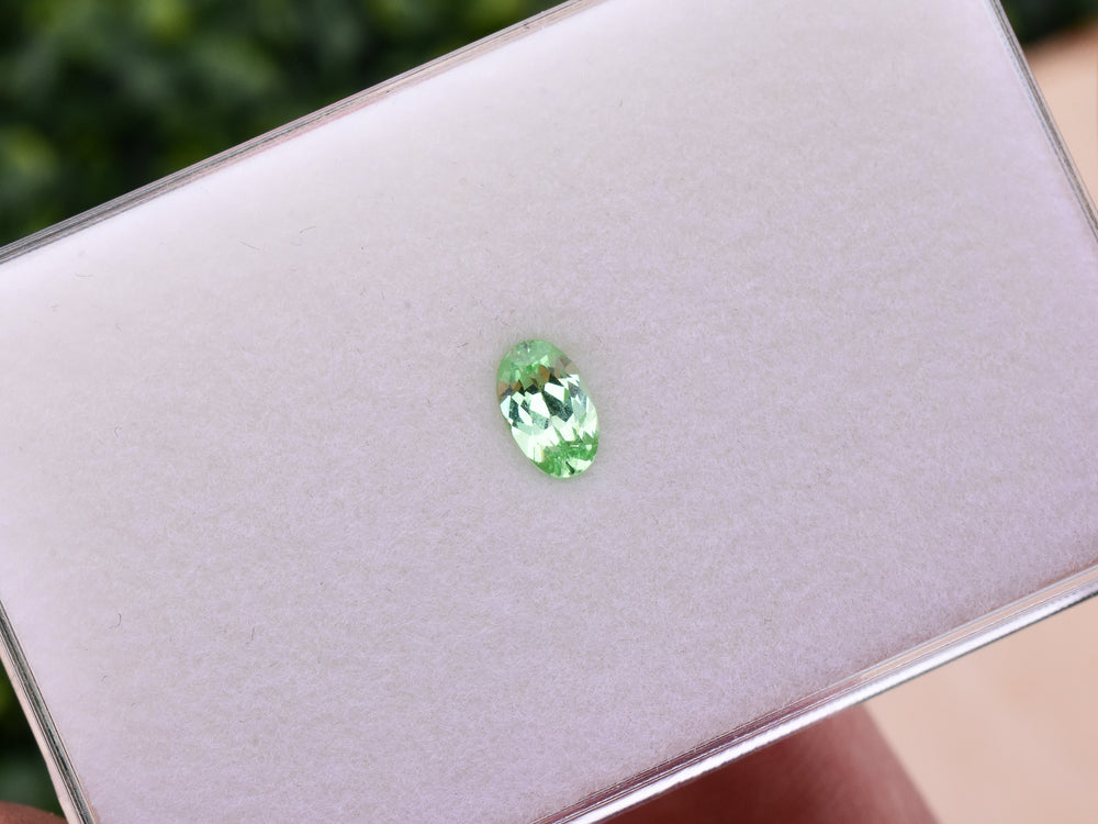 0.63 ct. Mint Garnet
