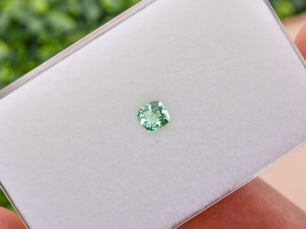 0.62 ct. Mint Garnet