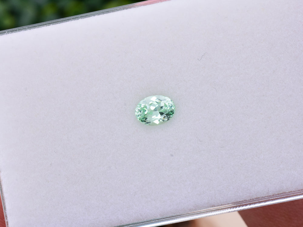0.83 ct. Mint Garnet