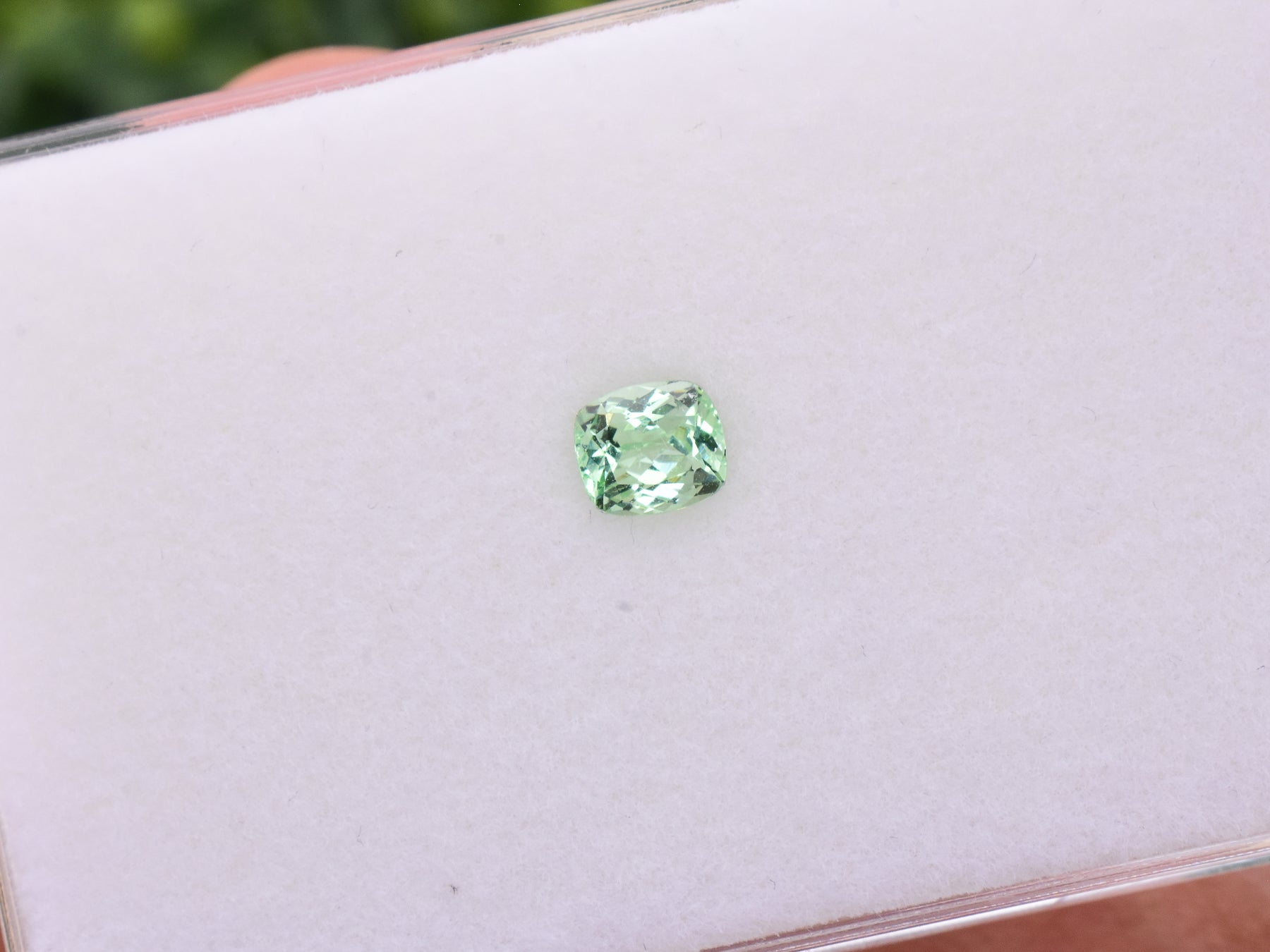 0.70 ct. Mint Garnet