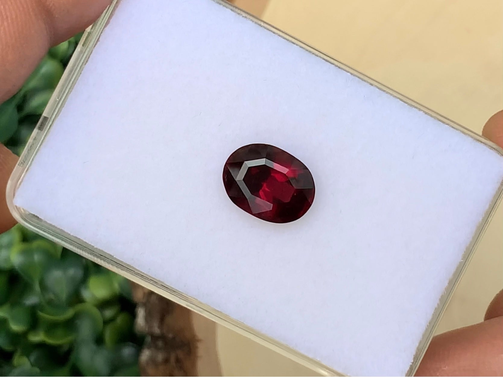 5.54 ct. Rhodolite