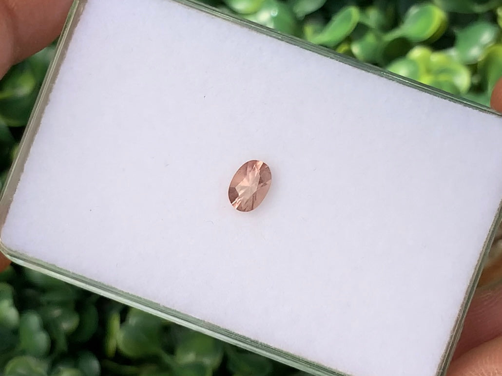 0.67 ct. Malaya Garnet